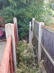 Original boundary fence posts visible between two newer fences