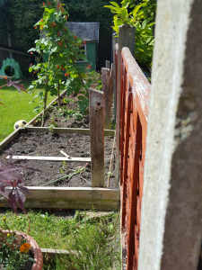 Original boundary fence posts